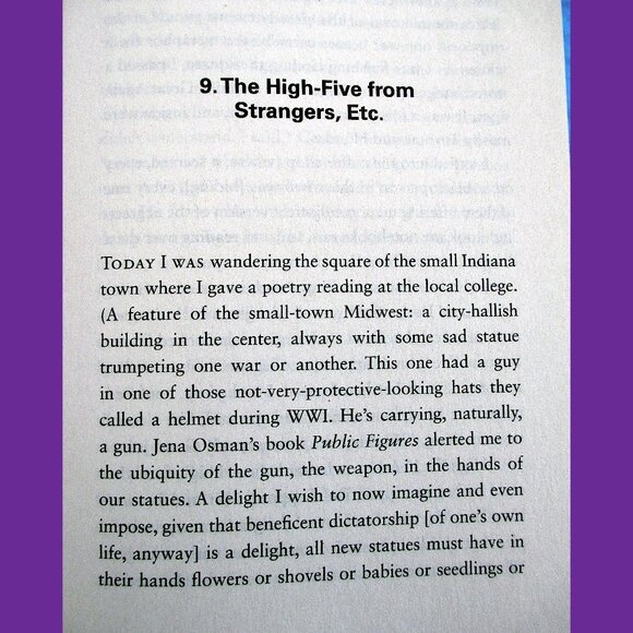 Book: The Book of Delights, Essays by Ross Gay - Picture 10 of 14